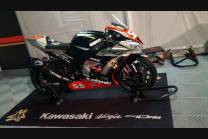 Lackierte Rennverkleidung Kawasaki Zx10R 2016 - 2020 - MXPCRV7025