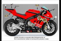 Carenado Racing Pintado Bmw S1000 RR 2015 - 2018 - MXPCRV7041