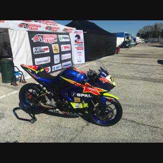 Painted Race Fairings Yamaha R3 2015 - 2018 - MXPCRV7327
