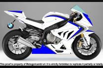 Lackierte Rennverkleidung Bmw S1000 RR 2015 - 2018 - MXPCRV7334