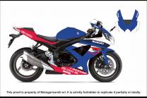 Carenado Racing Pintado Suzuki Gsxr 600/750 2008 -2010 - MXPCRV7344