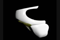 Carene Anteriore come da foto Vers.1 2