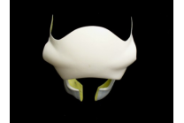 Carene Anteriore come da foto 2