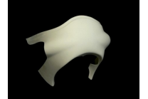 Carene Anteriore come da foto