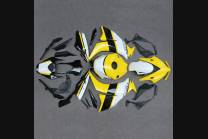 Carene in abs complete e verniciate HND CBR 1 C HRCSP