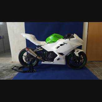 carenado completo sin guardabarros Racing 