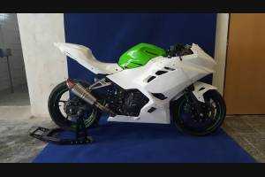 carenado completo sin guardabarros Racing 