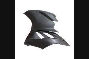 Complete and painted fairings in abs Ducati 1299 Panigale DUAB 1299 OPC