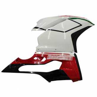 Complete and painted fairings in abs Ducati 1299 Panigale DUAB 1299 SP