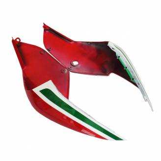 Complete and painted fairings in abs Ducati 1299 Panigale DUAB 1299 SP