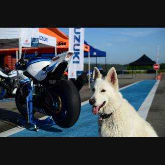 Carene verniciate 30°anniversario