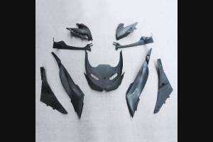 Complete and painted fairings in abs KAW 636 BLKJ