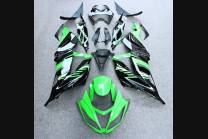 Complete and painted fairings in abs KAW 636 BLKJ
