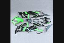 Complete and painted fairings in abs KAW 636 BLKJ 2