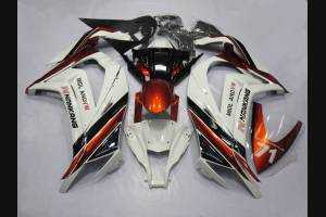 Complete and painted fairings in abs SBK15JR 