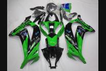 Complete and painted fairings in abs SBK15JR 