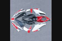 Complete and painted fairings for TMax 500 08/09/10/11 REDWT