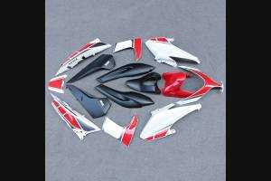 Complete and painted fairings for TMax 500 08/09/10/11 REDWT