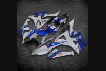 Painted street fairings in abs compatible with BMW S 1000 RR 2009 - 2014 - MXPCAV7511
