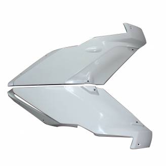 Laterales dx sx en Abs completo 