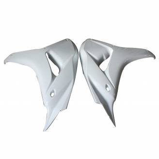 Laterales dx sx en Abs completo 