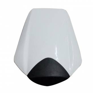 Complete and unpainted fairings in abs with front fender 