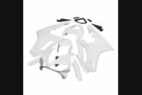 Verkleidungen abs mit Kotflugel zu lackieren 2