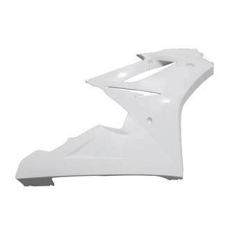 Complete and unpainted fairings in abs with front fender 