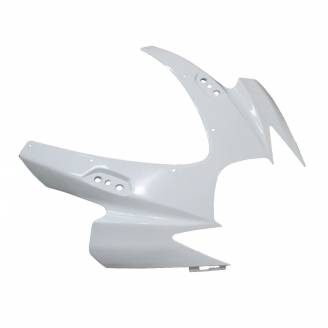 Complete and unpainted fairings in abs with front fender 