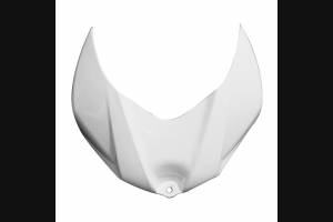 Complete and unpainted fairings in abs with front fender 