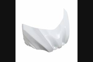 Complete and unpainted fairings in abs with front fender 