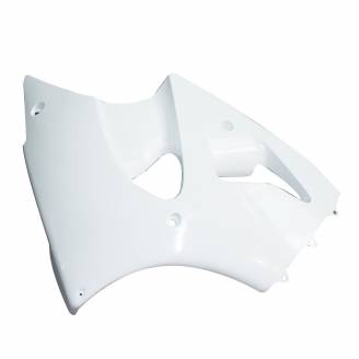 Complete and unpainted fairings in abs with front fender 
