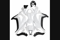 Verkleidungen abs mit Kotflugel zu lackieren INJ