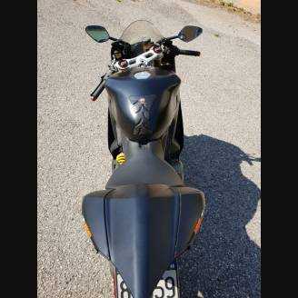 Fairings ABS Lackiert street DUC99 MTGOP15