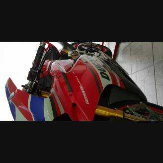 Racing Ducati 959 1299 Panigale Complete and painted fairings with back seat original seat Aruba SBK16
