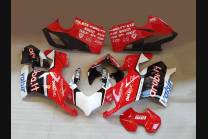 carenado ABS barnizado carrettera Ducati Panigale V4 para escape Akrapovic DUCV4AR17