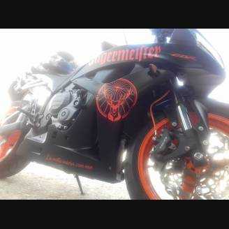 Complete and painted fairings in abs HND CBR 6 G JAM 