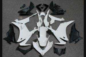 Complete and unpainted fairing in abs with front fender 
