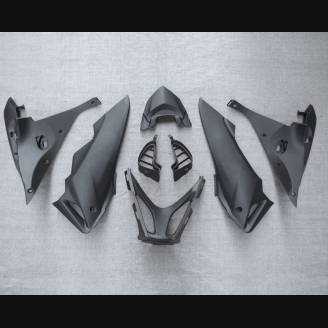 Complete and painted fairings in abs HND CBR 6CF BL 