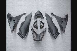 Complete and painted fairings in abs HND CBR 6CF BL 