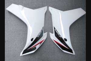 Complete and painted fairings in abs HND CBR 6CF REW 