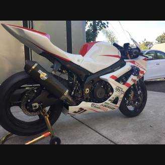 Complete and painted fairings GSX107 ESMT 