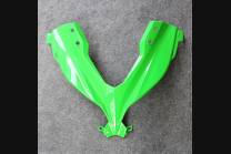 Complete and painted fairings in abs KWS 300 REA 2