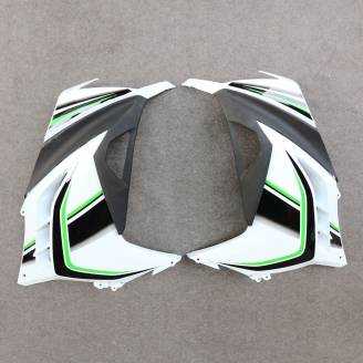 Complete and painted fairings in abs KWS 300 REA 