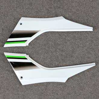 Complete and painted fairings in abs KWS 300 REA 