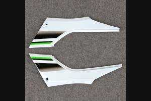 Complete and painted fairings in abs KWS 300 REA 