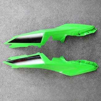 Complete and painted fairings in abs KWS 300 REA 