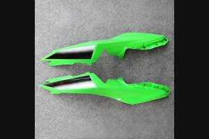 Complete and painted fairings in abs KWS 300 REA 