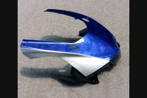 ABSVerkleidungen lackierten YMH R1 H ML 2