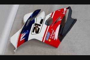 Carénages ABS peinture strett Ducati Panigale V4 pour Akrapovic Échappement DUCV4BY